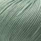 Texyarns Bellissimo Orchard Yarn 8133 Sea Foam