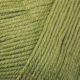 Texyarns Fiddlesticks Superb 8 Yarn 70078 Leaf Green